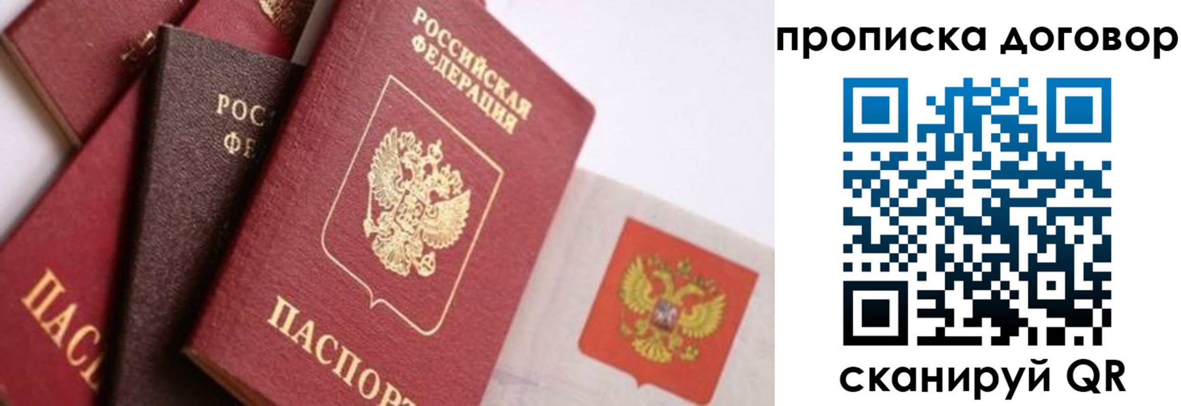 прописка поиск в Смоленске